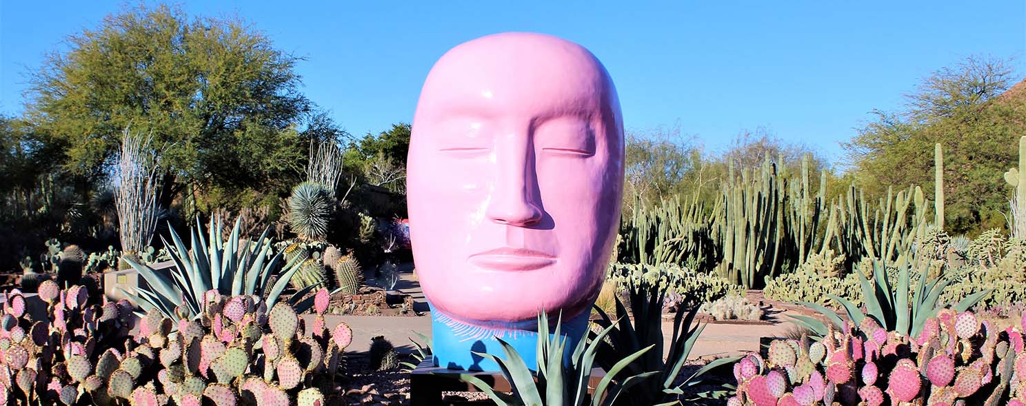 Phoenix Destinations & Tours